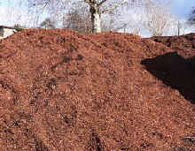 Hof Scheffen Hattert Westerwald WW - Landwirtschaft - Mutterkuhhaltung - Fleischrinder - Ackerbau - Galabau - Gartenbau - Landschaftsbau - Rindenmulch - Sonderbaumfllung - Heckenschnitt - Containerdienst - Brennholz - Weihnachtsbume 